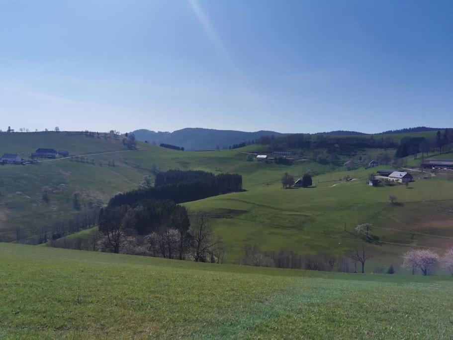 La Magie Entre Deux Lacs Gérardmer Exterior photo